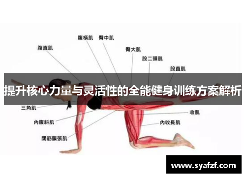 提升核心力量与灵活性的全能健身训练方案解析