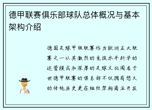 德甲联赛俱乐部球队总体概况与基本架构介绍